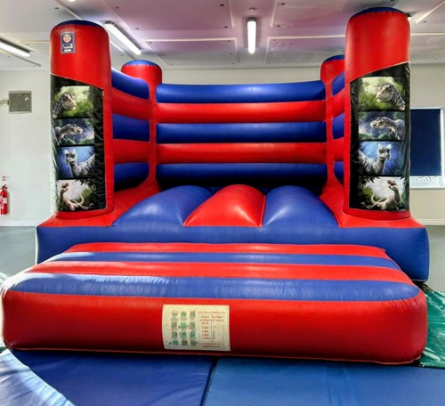 Red Blue castle with Dinosaur banners.jpg