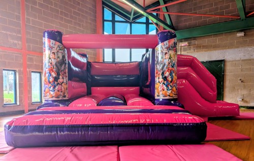 Pink Purple Combi with Mixed Disney Banners.jpg